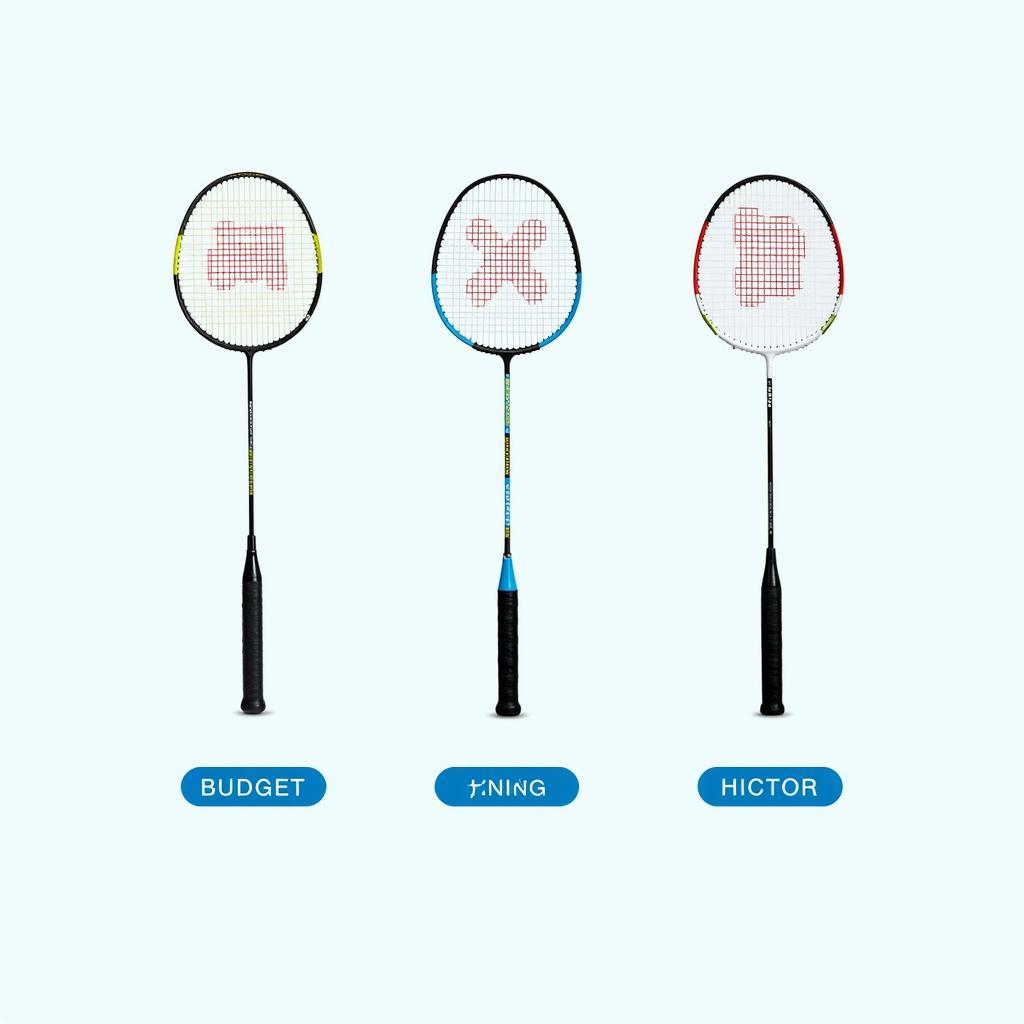 Different Badminton Racket Lines