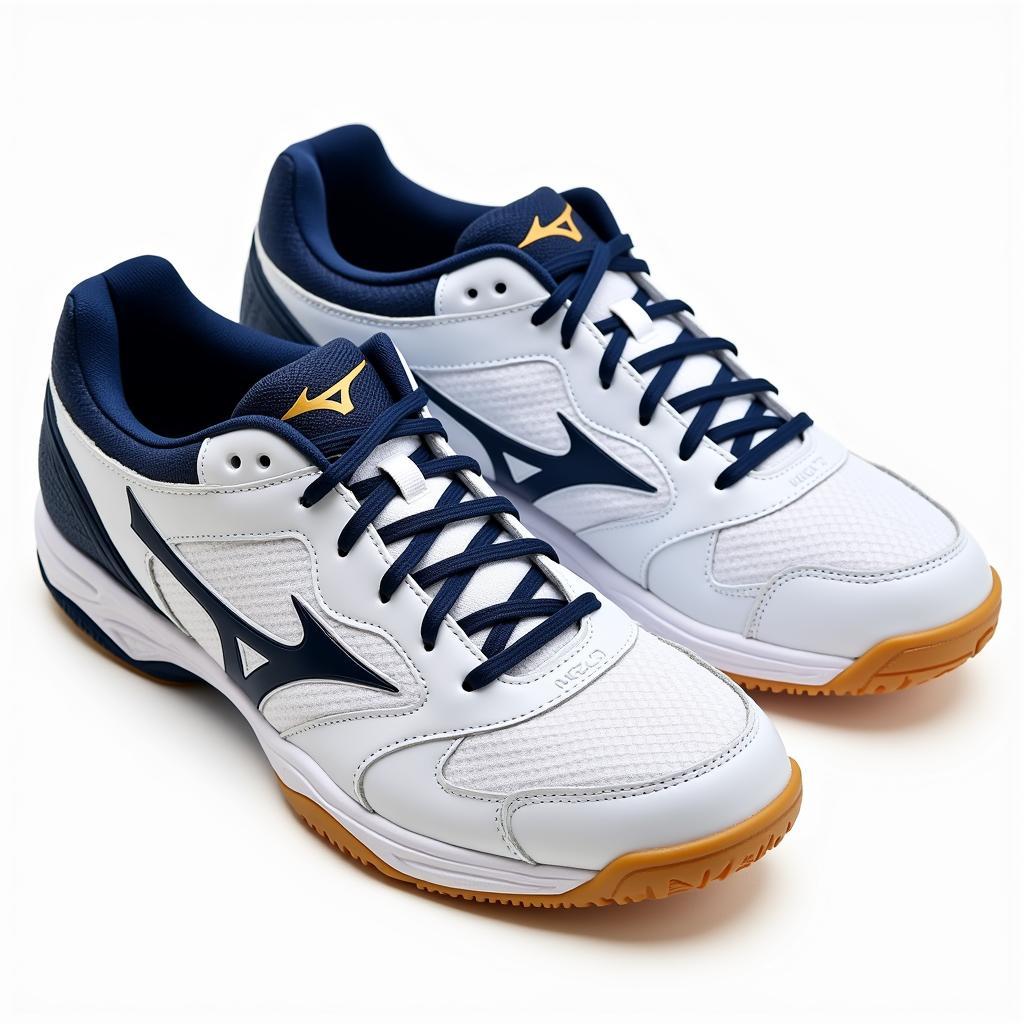 Giày cầu lông Mizuno trên Amazon JP