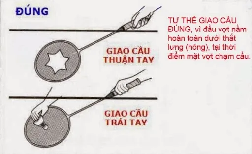 Luật Chơi Cầu Lông