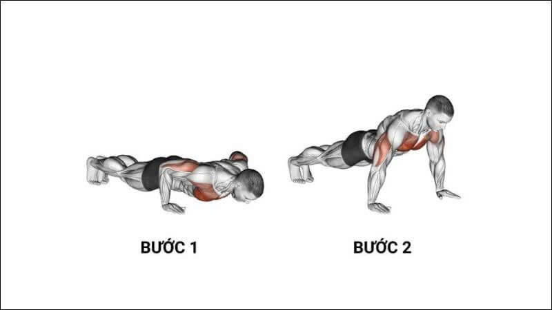 Bài tập hít đất